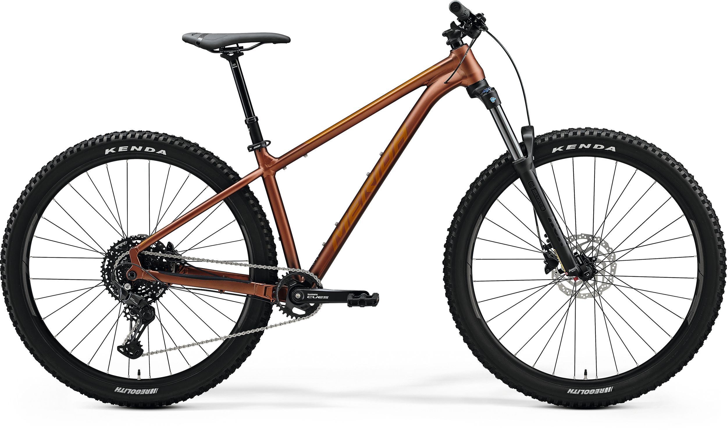 Noleggia una Mountain Bike Gravity Front 29″