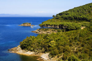 Spiaggia di Buzzancone